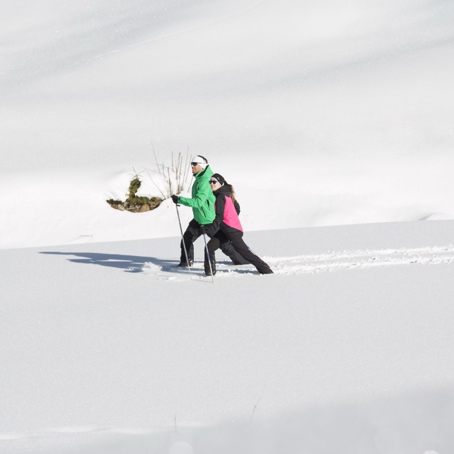 Groß (schoenachtal37 (1))