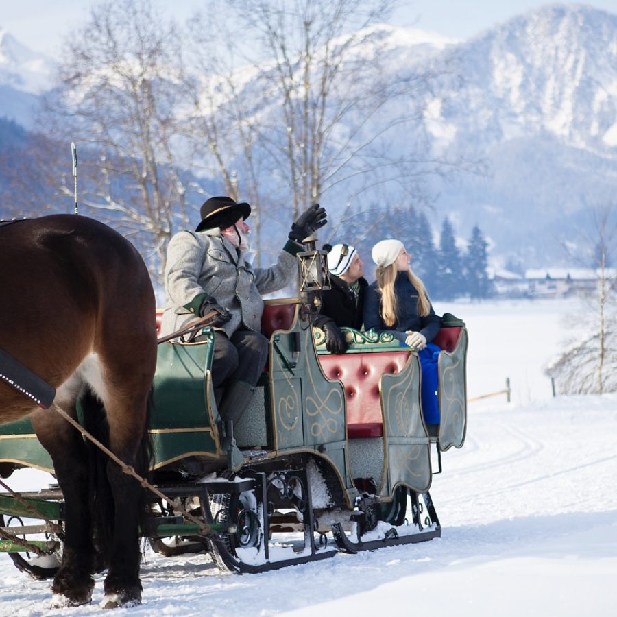 Groß (za_kutschfahrt_umgebung_erkunden (1))